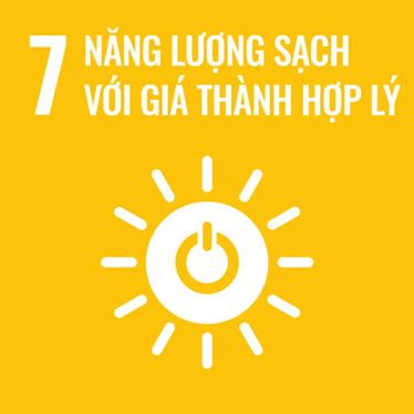 SDG 07