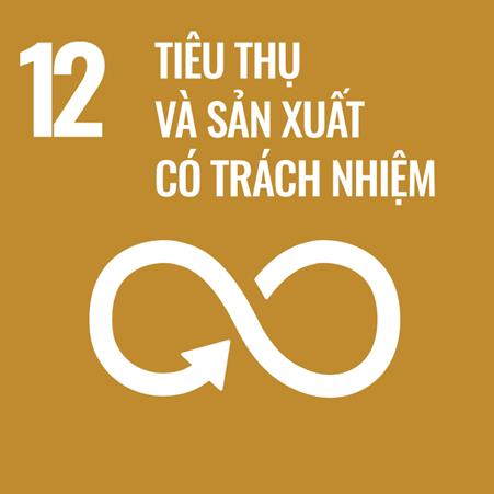 SDG 12